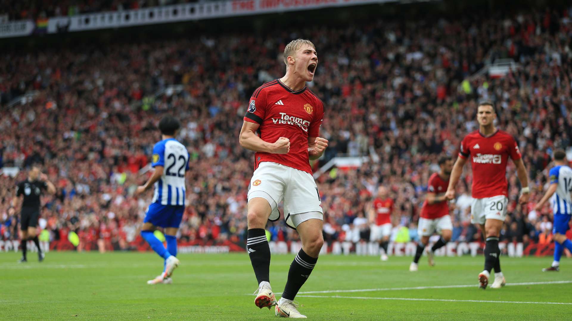 赛的独特魅 赛的独特魅