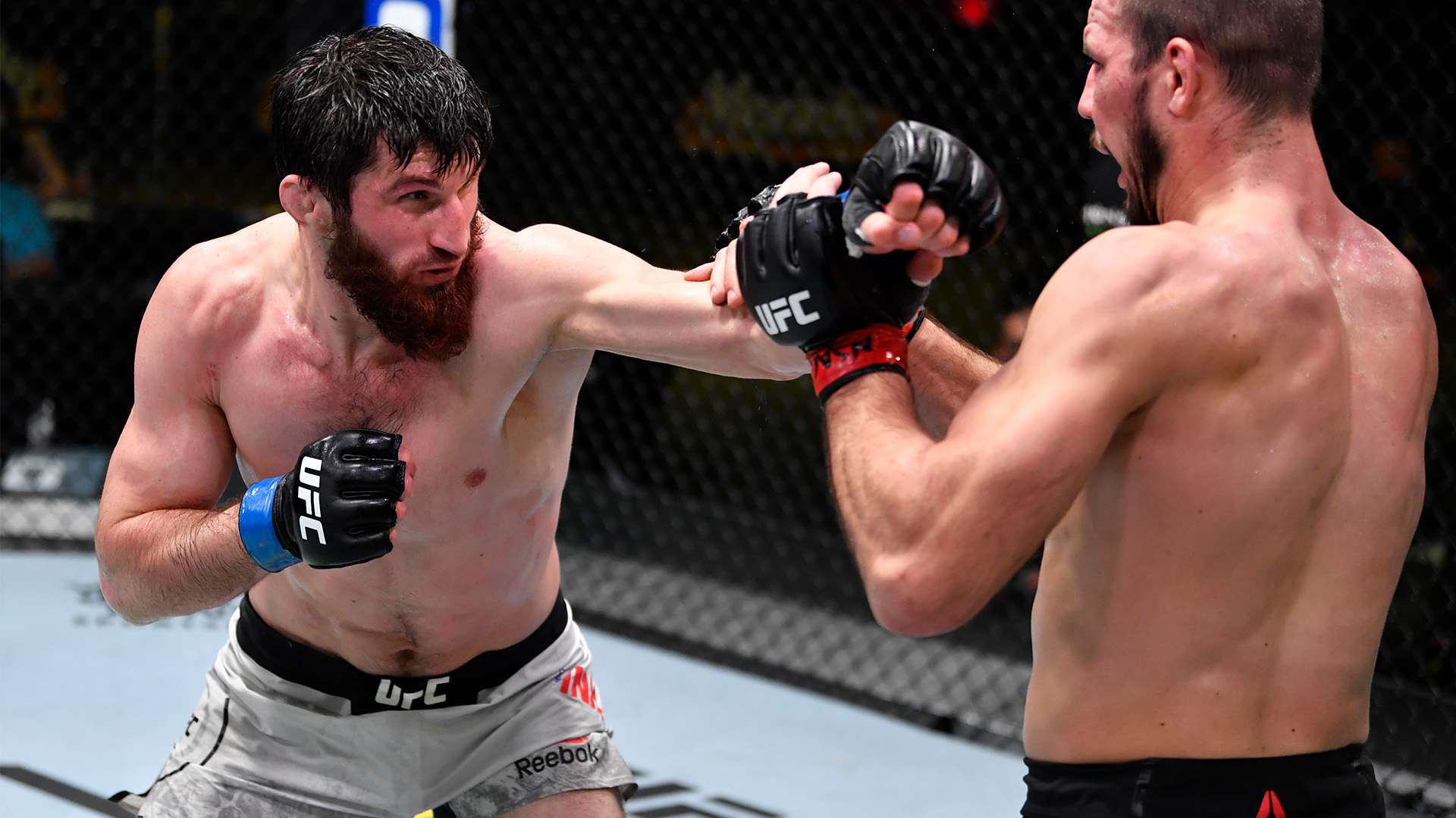 英超第22輪利物浦3-0布倫特福德 法比尼奧首開紀錄南野拓實替補建功.